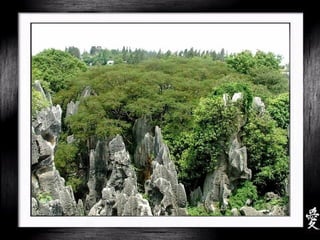 China - Shilin Stone Forest