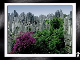 China - Shilin Stone Forest
