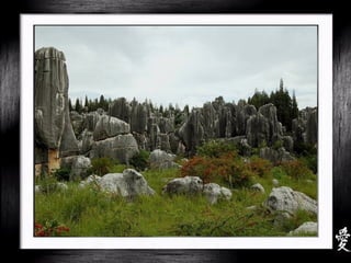 China - Shilin Stone Forest
