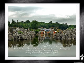 Shilin.
The Stone Forest,
About 100km east of Kunming,China is a maze of grey limestone towers reaching 30m.
A walkway let you wander around the weird rock formations.
The tall rocks seem to emanate from the ground in the manner of stalagmites,
with many looking like trees made of stone,
creating the illusion of a forest made of stone.
cvonck@zeelandnet.nl
 