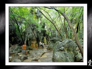 China - Shilin Stone Forest