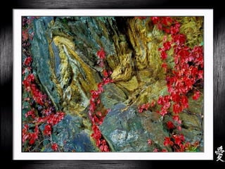 China - Shilin Stone Forest