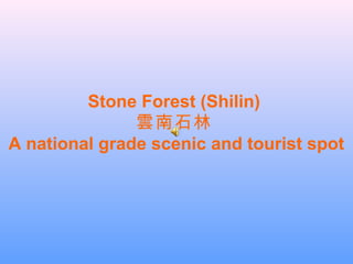Stone Forest (Shilin)
雲南石林
A national grade scenic and tourist spot
 