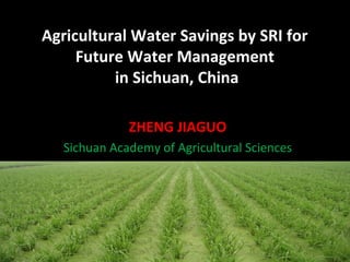 Agricultural Water Savings by SRI for
     Future Water Management
          in Sichuan, China

              ZHENG JIAGUO
   Sichuan Academy of Agricultural Sciences
 