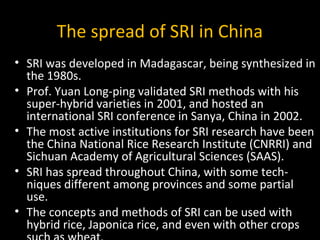 The spread of SRI in China
• SRI was developed in Madagascar, being synthesized in
  the 1980s.
• Prof. Yuan Long-ping val...