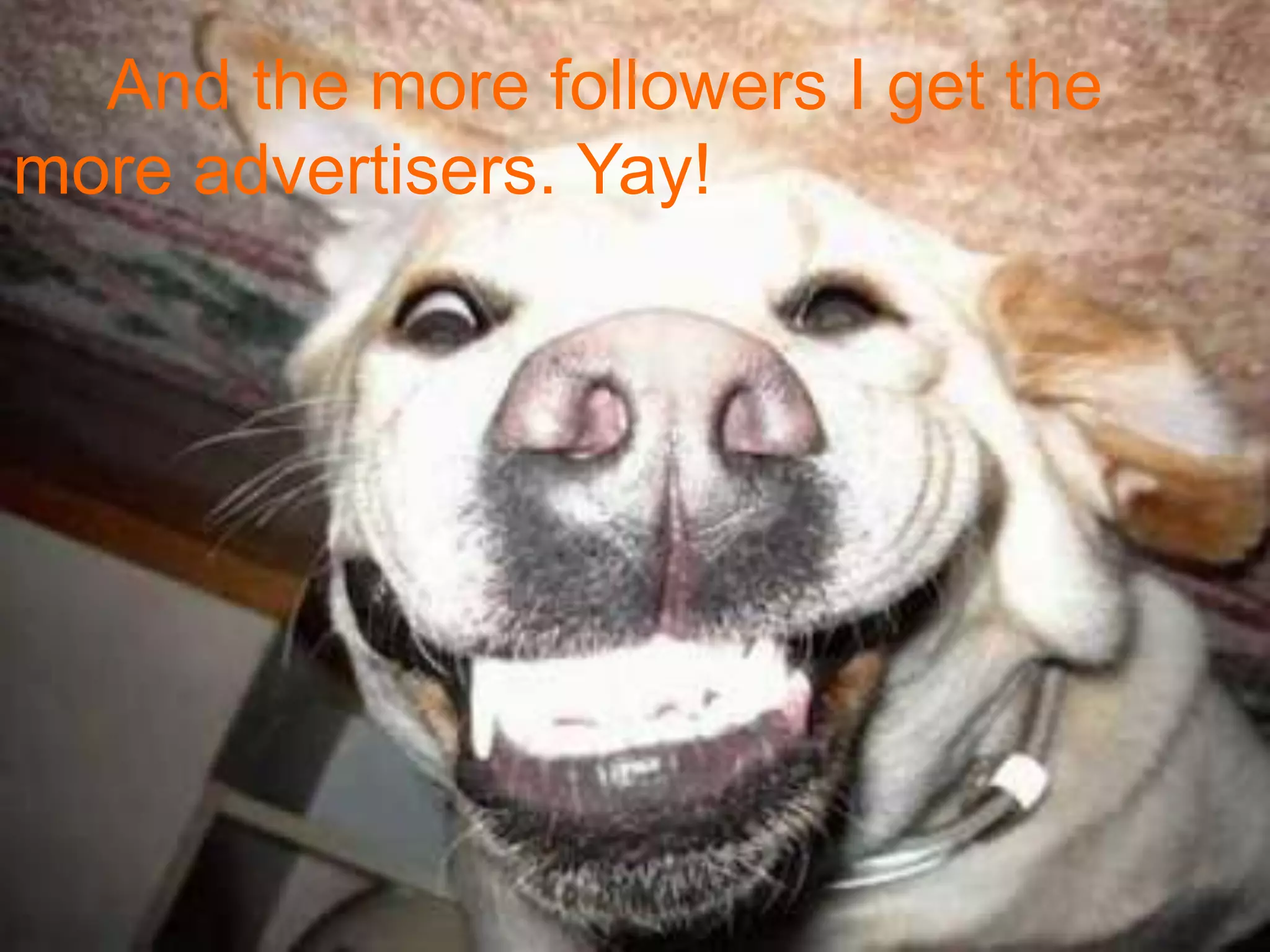      And the more followers I get the more advertisers. Yay!