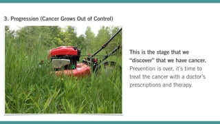 Takeaway: There are 3 Stages of Cancer Growth
There are three stages of cancer
growth: initiation, promotion, and
progress...