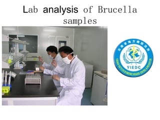 Ecosystem approaches to the better management of Brucellosis and Toxoplasma in Yunnan Province, China