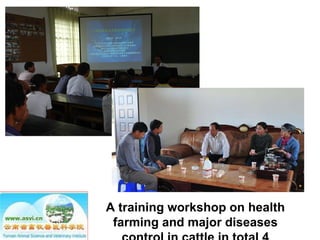 Ecosystem approaches to the better management of Brucellosis and Toxoplasma in Yunnan Province, China