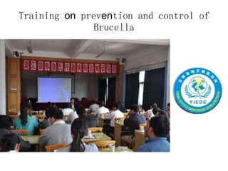 Ecosystem approaches to the better management of Brucellosis and Toxoplasma in Yunnan Province, China