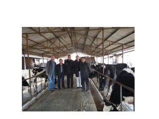 Ecosystem approaches to the better management of Brucellosis and Toxoplasma in Yunnan Province, China