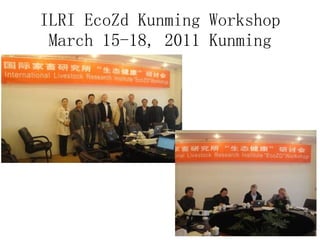 Ecosystem approaches to the better management of Brucellosis and Toxoplasma in Yunnan Province, China