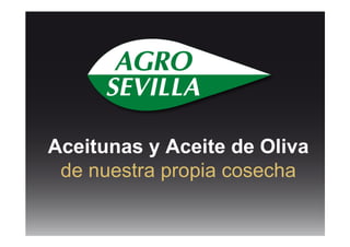 Aceitunas y Aceite de Oliva
de nuestra propia cosecha
 