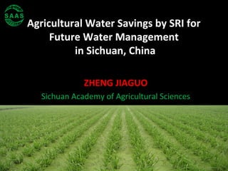 Agricultural Water Savings by SRI for
Future Water Management
in Sichuan, China
ZHENG JIAGUO
Sichuan Academy of Agricultural Sciences
 