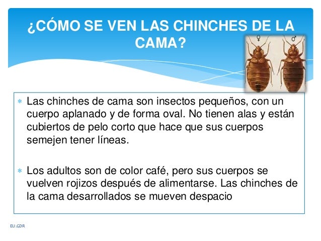 Enmarañar con las lombrices