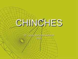 CHINCHES Dr. Lucas Burchard Señoret 2004 