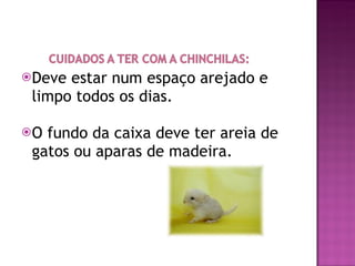 Deve estar num espaço arejado e limpo todos os dias. O fundo da caixa deve ter areia de gatos ou aparas de madeira. 