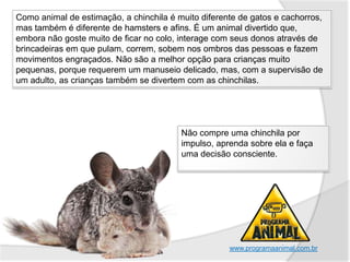 Como animal de estimação, a chinchila é muito diferente de gatos e cachorros,
mas também é diferente de hamsters e afins. É um animal divertido que,
embora não goste muito de ficar no colo, interage com seus donos através de
brincadeiras em que pulam, correm, sobem nos ombros das pessoas e fazem
movimentos engraçados. Não são a melhor opção para crianças muito
pequenas, porque requerem um manuseio delicado, mas, com a supervisão de
um adulto, as crianças também se divertem com as chinchilas.




                                         Não compre uma chinchila por
                                         impulso, aprenda sobre ela e faça
                                         uma decisão consciente.




                                                     www.programaanimal.com.br
 
