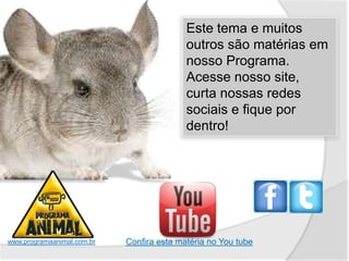 Este tema e muitos
                                           outros são matérias em
                                           nosso Programa.
                                           Acesse nosso site,
                                           curta nossas redes
                                           sociais e fique por
                                           dentro!




www.programaanimal.com.br   Confira esta matéria no You tube
 