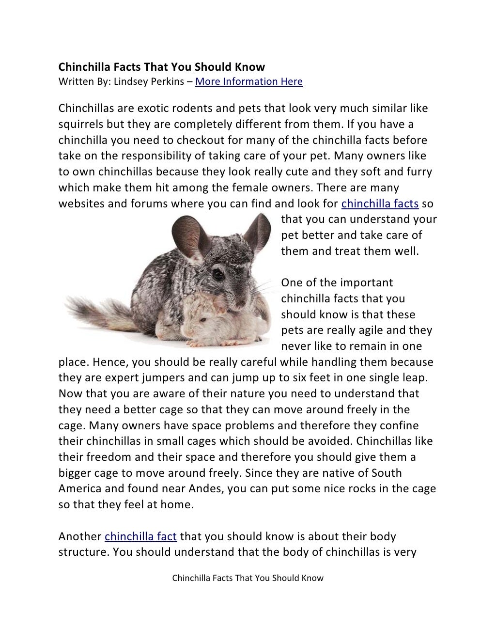 Chinchilla Facts You Should Know