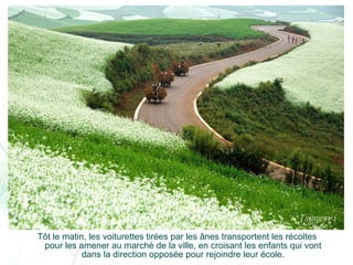 Chine lexiaguo en-yunnan-ff