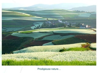 Chine lexiaguo en-yunnan-ff