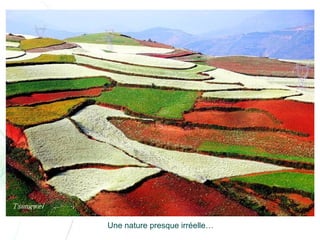 Chine lexiaguo en-yunnan-ff