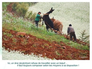 Chine lexiaguo en-yunnan-ff