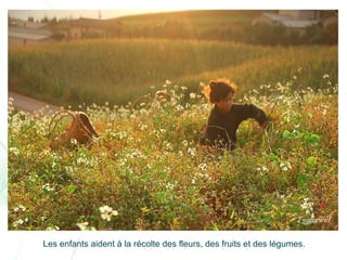 Chine lexiaguo en-yunnan-ff