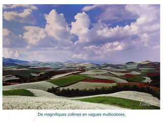 Chine lexiaguo en-yunnan-ff