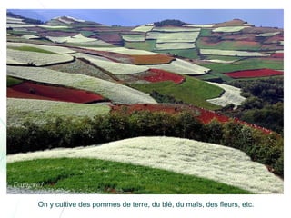 Chine lexiaguo en-yunnan-ff