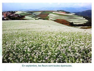 Chine lexiaguo en-yunnan-ff