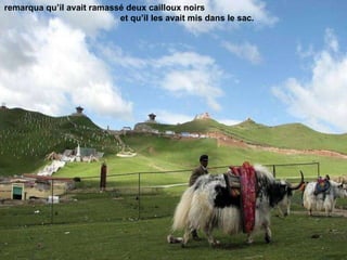 remarqua qu’il avait ramassé deux cailloux noirs  et qu’il les avait mis dans le sac.  