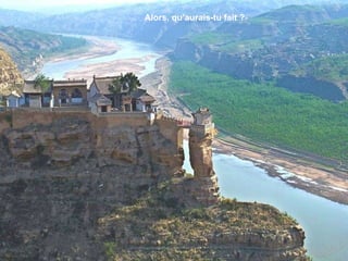 Alors, qu’aurais-tu fait ?  