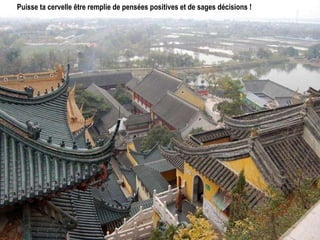 Puisse ta cervelle être remplie de pensées positives et de sages décisions ! 