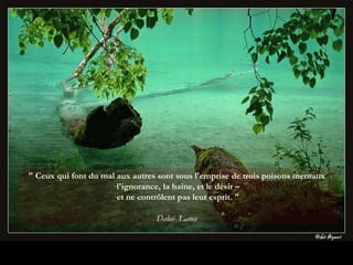 " Ceux qui font du mal aux autres sont sous l'emprise de trois poisons mentaux  l'ignorance, la haine, et le désir –  et ne contrôlent pas leur esprit. "  Dalaï- Lama  