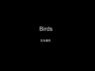Birds
百鸟朝凤
 