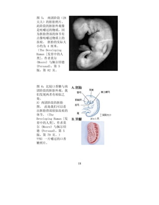 插图伊斯兰教简明指南 _  Chinese
