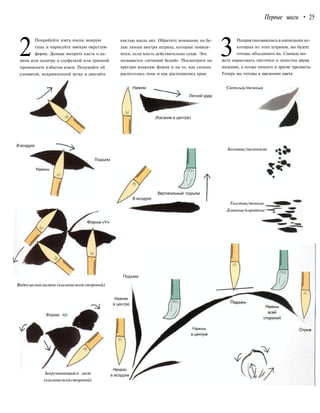 Первые шаги • 25
2
Попробуйте взять очень мокрую
тушь и нарисуйте мягкую округлую
форму. Дальше вытрите кисть о ка-
мень или палитру и салфеткой или тряпкой
промокните избыток влаги. Подумайте об
узловатой, искривленной ветке и двигайте
кистью вдоль нее. Обратите внимание на бе-
лые линии внутри штриха, которые появля-
ются, если кисть действительно сухая. Это
называется «летящий белый». Посмотрите на
круглую влажную форму и на то, как сильно
расползлась тушь и как распушились края.
Нажим
Легкий удар
(Касание в центре)
3
Попрактиковавшись в написании не-
которых из этих штрихов, вы будете
готовы объединить их. Сначала мо-
жете нарисовать листочки и лепестки двумя
мазками, а позже пишите и другие предметы.
Теперь вы готовы к введению цвета.
Светлый/темный
В воздухе
Подъем
Виденцелыйлисток(касаниевсей стороной)
Форма «U»
В воздухе
Вертикальный подъем
Большие/маленькие
Толстые/тонкие
Длинные/короткие
Подъем
Нажим
в центре
Закручивающийся лист
(касаниевсейстороной)
Начало
в воздухе
 