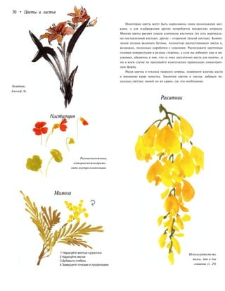 30 • Цветы и листья
Лилейник.
Джозеф Ло
Разныеположения,
которыеможноприме-
нять внутри композиции
Мимоза
1 Нарисуйте желтые кружочки
2 Нарисуйте листья
3 Добавьте стебель
4 Завершите точками и прожилками
Некоторые цветы могут быть нарисованы лишь несколькими маз-
ками, а для изображения других потребуется множество штрихов.
Многие цветы рисуют самым кончиком кисточки (то есть вертикаль-
но поставленной кистью), другие - стороной (косой кистью). Компо-
зиция должна включать бутоны, полностью распустившиеся цветы и,
возможно, несколько коробочек с семенами. Расположите цветочные
головки повернутыми в разные стороны, а если вы добавите еще и на-
секомых, убедитесь в том, что «у пчел достаточно места для полета», и
ни в коем случае не придавайте композиции правильную симметрич-
ную форму.
Рисуя цветок в технике твердого штриха, поверните кончик кисти
к внешнему краю лепестка. Закончив цветок и листья, добавьте не-
сколько светлых линий по их краям, где это необходимо.
Ракитник
Используйтетеже
мазки, что и для
глицинии (с. 29)
 