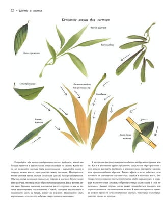 32 • Цветы и листья
Основные мазки для листьев
Листьяистебель
длялуковицы и др.
Попробуйте оба метода изображения листка, выберите, какой вам
больше нравится и какой из них лучше подойдет по сюжету. Кроме то-
го, не позволяйте листьям быть монотонными - варьируйте длину и
ширину мазков кисти, пространство между листьями. Постарайтесь,
чтобы цветовая гамма листьев (туши или краски) была разнообразной.
Обычно листья начинают рисовать от черенка к кончику. Тем не менее
иногда лучше рисовать лист в обратном направлении: когда кончик ли-
ста имеет большое значение или цветок растет в группе, и вам не хо-
чется акцентировать его основание. Способ, которым вы опускаете и
поднимаете кисть на бумагу, влияет на результат. Поднимайте кисть
вертикально, если хотите добиться закругленного окончания.
В китайском рисунке довольно необычно изображение уровня зем-
ли. Как и в рисовании других предметов, здесь важен образ растения -
оно должно выглядеть растущим, а следовательно, выглядеть у основа-
ния правдоподобным образом. Такого эффекта легче добиться, если
начинать от кончика листа и двигаться, опуская и поднимая кисть, бла-
годаря чему основание листьев получается слабо выраженным, и созда-
ется иллюзия кучки листьев, собранных вместе и растущих в трех из-
мерениях. Бывают случаи, когда может понадобиться показать или
спрятать кончики сделанных вами мазков. В качестве хорошего приме-
ра можно привести кучку бамбуковых листьев, некоторые из которых
смотрят прямо на зрителя.
 