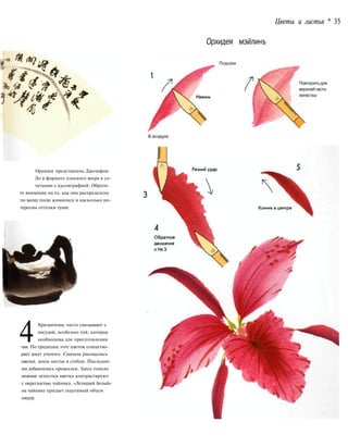 Цветы и листья * 35
Орхидея представлена Джозефом
Ло в формате плоского веера в со-
четании с каллиграфией. Обрати-
те внимание на то, как она распределена
по всему полю живописи и насколько ин-
тересны оттенки туши.
4Хризантемы часто связывают с
посудой, особенно той, которая
необходима для приготовления
чая. По традиции этот цветок олицетво-
ряет досуг ученого. Сначала рисовались
цветки, затем листья и стебли. Последни-
ми добавлялись прожилки. Здесь тонкие
нежные лепестки цветка контрастируют
с округлостью чайника. «Летящий белый»
на чайнике придает ощутимый объем
сосуду.
Орхидея мэйлинъ
Подъем
Повторить для
верхнейчасти
лепестка
В воздухе
 