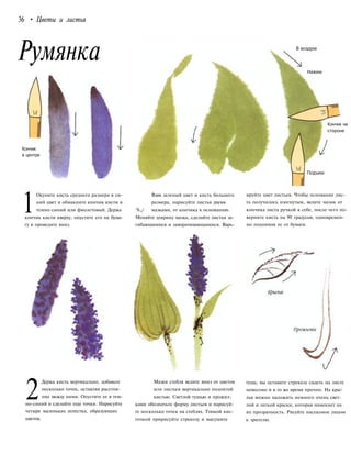 36 • Цветы и листья
Румянка В воздухе
Нажим
Кончик
в центре
1
Окуните кисть среднего размера в си-
ний цвет и обмакните кончик кисти в
темно-синий или фиолетовый. Держа
кончик кисти кверху, опустите его на бума-
гу и проведите вниз.
2
Держа кисть вертикально, добавьте
несколько точек, оставляя расстоя-
ние между ними. Опустите ее в тем-
но-синий и сделайте еще точки. Нарисуйте
четыре маленьких лепестка, образующих
цветок.
Кончик на
стороне
Взяв зеленый цвет и кисть большего
размера, нарисуйте листья двумя
%,./ мазками, от кончика к основанию.
Меняйте ширину мазка, сделайте листья за-
гибающимися и заворачивающимися. Варь-
Подъем
ируйте цвет листьев. Чтобы основание лис-
та получилось изогнутым, ведите мазок от
кончика листа ручкой к себе, после чего по-
верните кисть на 90 градусов, одновремен-
но поднимая ее от бумаги.
Мазки стебля ведите вниз от цветов
или листьев вертикально поднятой
кистью. Светлой тушью и прожил-
ками обозначьте форму листьев и нарисуй-
те несколько точек на стеблях. Тонкой кис-
точкой пририсуйте стрекозу и высушите
тушь; вы оставите стрекозу сидеть на листе
невесомо и в то же время прочно. На кры-
лья можно наложить немного очень свет-
лой и легкой краски, которая намекнет на
их прозрачность. Рисуйте насекомое лицом
к зрителю.
 