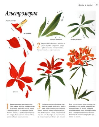 Цветы и листья • 39
Альстромерия
Не поднимая
Листьяу основания
/*% Окуните кисть в оттенки зеленого и,
./ рисуя от стебля к верхушке, прири-
суйте листья под головкой цветка.
Нарисуйте листья у корня растения.
Листья настебле
Ярким красным и оранжевым обри-
суйте каждый лепесток одним или дву-
мя мазками, работая от центра цветка
к внешнему краю. У альстромерии четыре
обычных лепестка и два более тонких лепе-
стка наверху, более светлого оттенка. Ниже
цветков добавьте несколько почек.
Добавьте тонкие стебельки и отме-
тины на тонкие лепестки. В послед-
нюю очередь нарисуйте основной
стебель, идущий вниз от цветочной голо-
вки. Чтобы придать стеблю естественный
вид, как если бы он рос из нижних листь-
ев, оторвите кисть от бумаги чуть раньше.
Если хотите создать более сложную ком-
позицию из этих цветов, нарисуйте цве-
точные головки на разных уровнях и
разных размеров (пусть некоторые цветы
будут слегка распустившимися и много
бутонов). По желанию прорисуйте про-
жилки на листьях.
 
