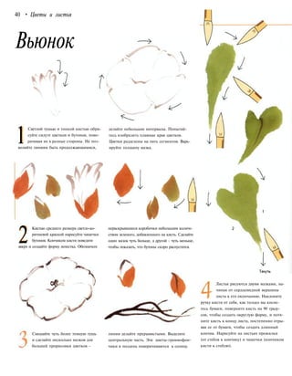40 • Цветы и листья
Вьюнок
1
Светлой тушью и тонкой кистью обри-
суйте силуэт цветков и бутонов, пово-
рачивая их в разные стороны. Не поз-
воляйте линиям быть продолжающимися,
2
Кистью среднего размера светло-ко-
ричневой краской нарисуйте чашечки
бутонов. Кончиком кисти поведите
вверх и создайте форму лепестка. Обозначьте
Смешайте чуть более темную тушь
и сделайте несколько мазков для
большей прорисовки цветков -
делайте небольшие интервалы. Попытай-
тесь изобразить плавные края цветков.
Цветки разделены на пять сегментов. Варь-
ируйте толщину мазка.
нераскрывшиеся коробочки небольшим количе-
ством зеленого, добавленного на кисть. Сделайте
один мазок чуть больше, а другой - чуть меньше,
чтобы показать, что бутоны скоро распустятся.
линии делайте прерывистыми. Выделите
центральную часть. Эти цветы-граммофон-
чики в полдень поворачиваются к солнцу.
Листья рисуются двумя мазками, на-
чиная от сердцевидной вершины
листа к его окончанию. Наклоните
ручку кисти от себя, как только вы косне-
тесь бумаги, поверните кисть на 90 граду-
сов, чтобы создать округлую форму, и потя-
ните кисть к концу листа, постепенно отры-
вая ее от бумаги, чтобы создать длинный
кончик. Нарисуйте на листьях прожилки
(от стебля к кончику) и чашечки (кончиком
кисти к стеблю).
 