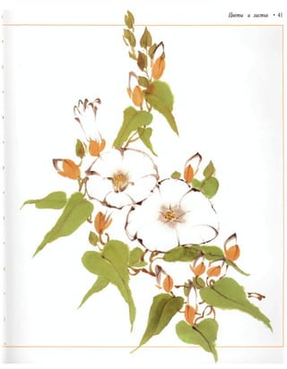 Цветы и листья • 41
 