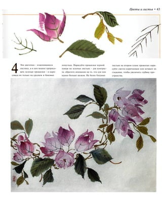 Цветы и листья • 43
4Эти цветочки - изменившиеся
листики, и в них можно прорисо-
вать зеленые прожилки - я нари-
совала их только на среднем и боковых
лепестках. Нарисуйте прожилки черной
тушью на зеленых листьях - для контрас-
та; обратите внимание на то, что для них
нужно больше мазков. На более бледных
листьях на втором плане прожилки нари-
суйте светло-коричневым или оставьте их
гладкими, чтобы увеличить глубину про-
странства.
 