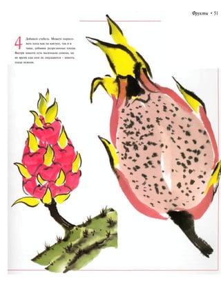 Фрукты • 51
Добавьте стебель. Можете нарисо-
вать плод как на кактусе, так и в
чаше, добавив разрезанные плоды.
Внутри мякоти есть маленькие семена, но
во время еды они не ощущаются - мякоть
плода нежная.
 