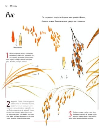 52 • Фрукты
Рис Рис - основная пища для большинства жителей Китая.
А еще он может быть сюжетом прекрасной живописи.
Окуните твердую кисть в оттенки ко-
ричневого или желтого. Кончиком ки-
сти сделайте маленькие «отталкиваю-
щие» штрихи, изображающие зернышки
риса. Меняйте размер и оттенки.
2
Удерживая кончик кисти в середине
штриха, теми же оттенками желтого
и коричневого, и, может, немного
зеленым, плавными мазками нарисуйте лис-
тья. Они похожи на листья орхидей. Можно
согнуть один лист или закрутить его, но
не переусердствуйте. Учитывайте простран-
ство между листьями и пририсуйте зеленые
зерна, оставляя пробелы между ними.
Добавьте тонкие стебли и, для боль-
шей выразительности, черные точки
в конец каждого зерна. Здесь компо-
зиция имеет всеобъемлющее значение.
 