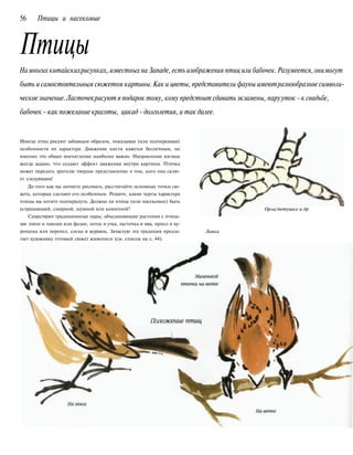 56 Птицы и насекомые
Птицы
Намногих китайскихрисунках, известных на Западе, есть изображения птиц или бабочек.Разумеется, онимогут
быть и самостоятельным сюжетом картины.Как и цветы, представители фауны имеютразнообразное символи-
ческоезначение.Ласточекрисуют в подарок тому, кому предстоит сдавать экзамены, парууток - к свадьбе,
бабочек - как пожелание красоты, цикад - долголетия, и так далее.
Иногда птиц рисуют забавным образом, показывая (или подчеркивая)
особенности их характера. Движение кисти кажется беспечным, но
именно это общее впечатление наиболее важно. Направление взгляда
всегда задано, что создает эффект движения внутри картины. Птичка
может передать зрителю твердое представление о том, кого она склю-
ет следующим!
До того как вы начнете рисовать, рассчитайте основные точки сю-
жета, которые сделают его особенным. Решите, какие черты характера
птицы вы хотите подчеркнуть. Должна ли птица (или насекомое) быть
устрашающей, смирной, шумной или комичной?
Существуют традиционные пары, объединяющие растения с птица-
ми: пион и павлин или фазан, лотос и утка, ласточка и ива, просо и ку-
ропатка или перепел, сосна и журавль. Зачастую эта традиция предла-
гает художнику готовый сюжет живописи (см. список на с. 44).
Орла/петушка и др.
Лапки
 